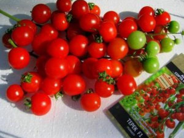 Урожайный томат «Терек F1» photo_1