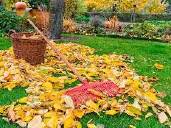 Осенние огородные работы: обязательно к выполнению photo_5